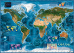 Satellite Map 2000pc Puzzle