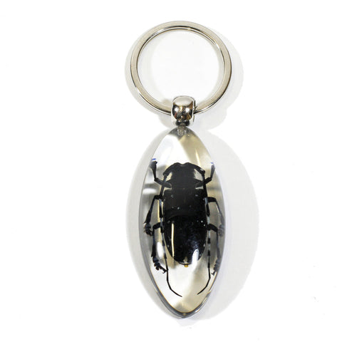 Clear Acrylic Longhorned Beetle Key Chain