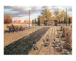 Fall Plowing 1000pc Puzzle in Tin