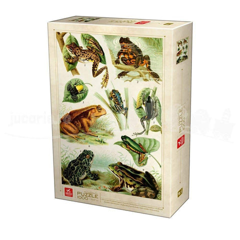 Frogs 1000pc Puzzle