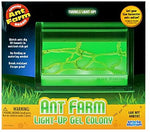 Ant Farm - Light-Up Gel Colony