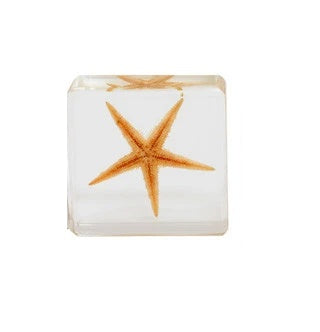 Clear Acrylic Starfish Mini Paperweight