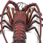 Safari Ltd® Spiny Lobster (XXL)