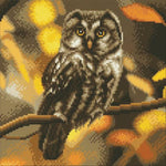 Tawny Owl - Medium Crystal Art Kit