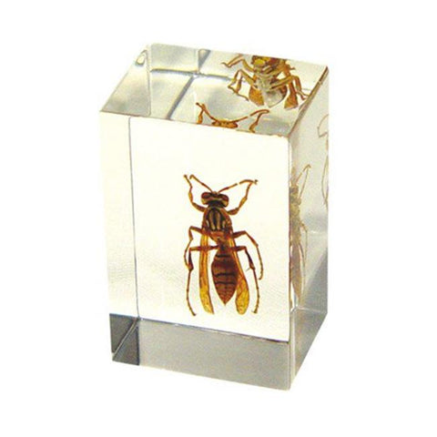 Clear Acrylic Wasp Paperweight
