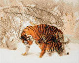 Winter Tigers - Large Crystal Art Kit